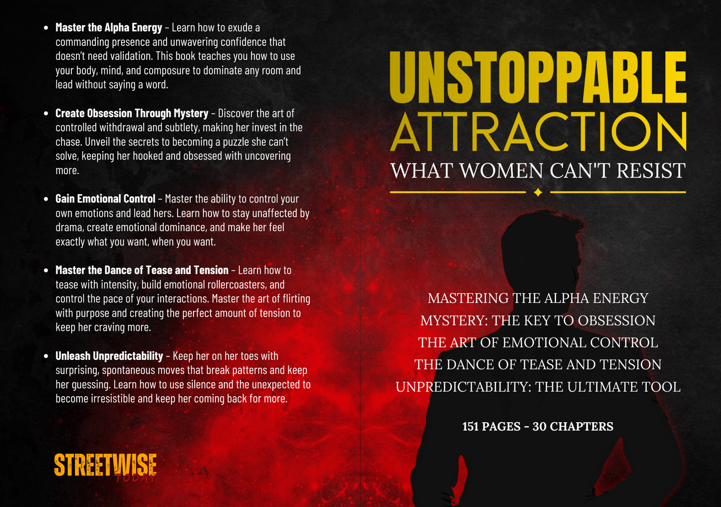 UNSTOPPABLE ATTRACTION:  What Women Can't Resist